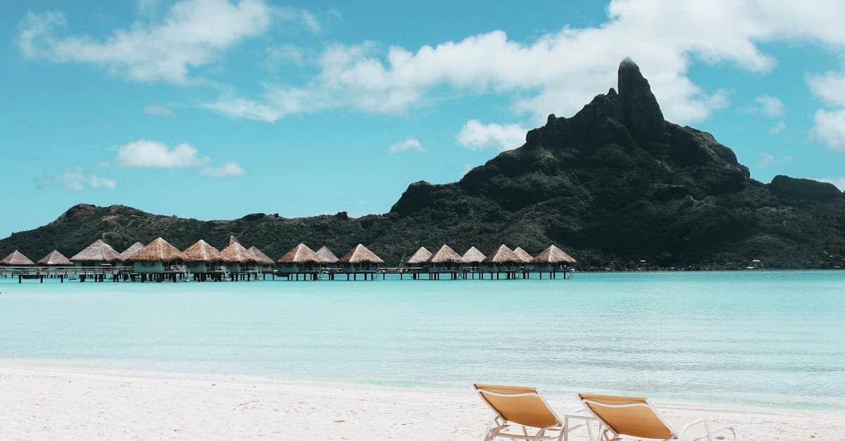 Découvrez la plus magnifique plage de la Martinique : Paradis tropical ou mirage ?